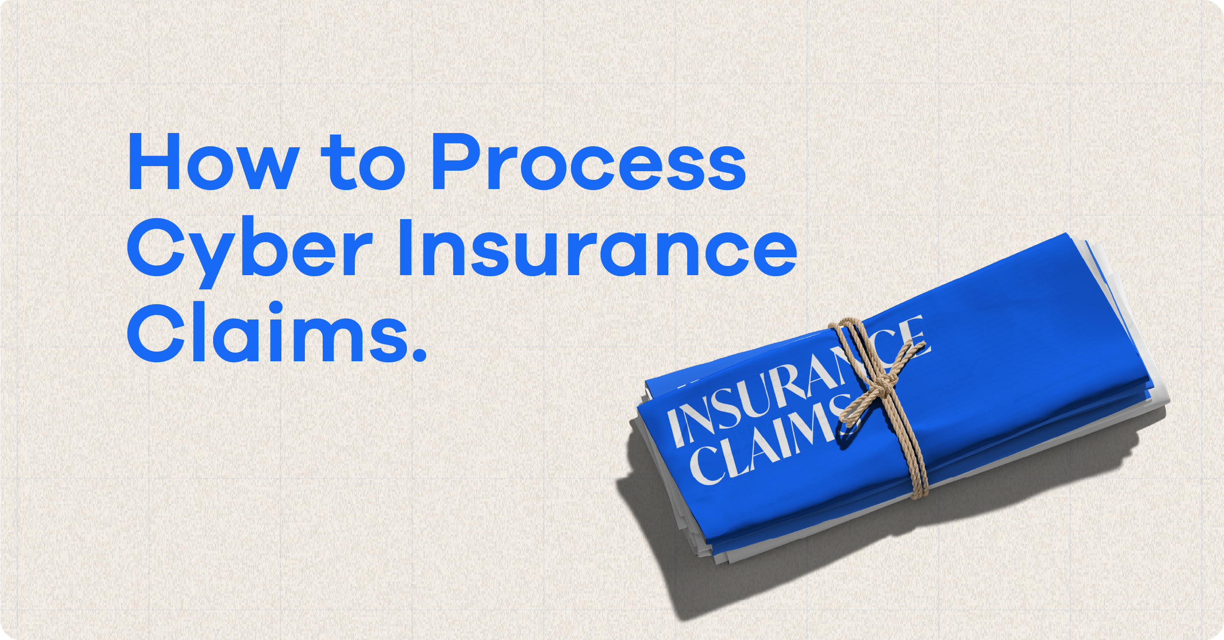 Cyber Insurance Claims