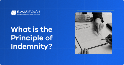 What is the Principle of Indemnity? What are the Factors and Challenges of it?