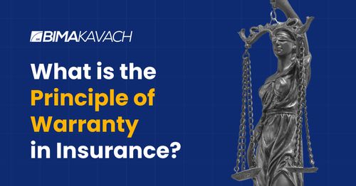 What is the Principle of Warranty in Insurance?