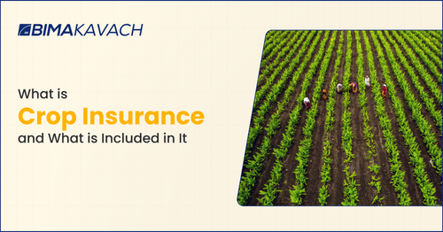 What is Crop Insurance Policy? What is Included in It?