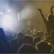 What is Media Liability Insurance?