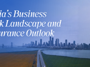 India's Business Risk Landscape